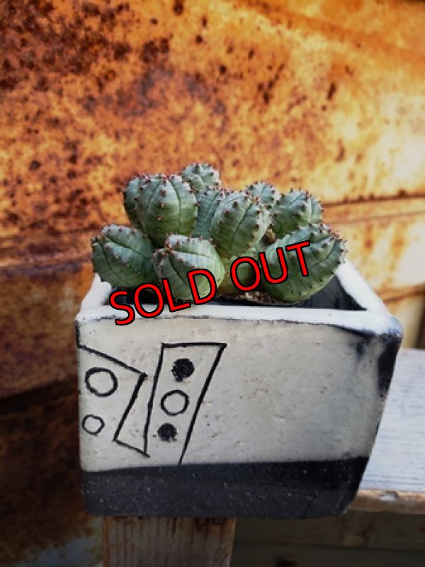 画像7: 幾何学シリーズ/角3