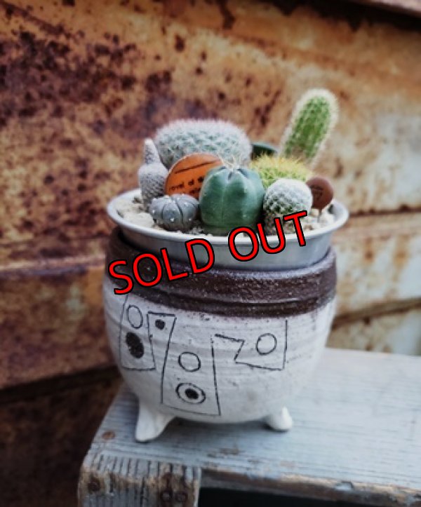 画像3: 幾何学シリーズ/蜜脚コロリン-1