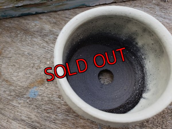 画像7: 幾何学シリーズ/蜜脚コロリン-2