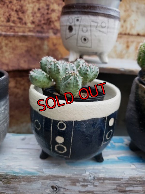 画像5: 幾何学シリーズ/蜜脚コロリン-3