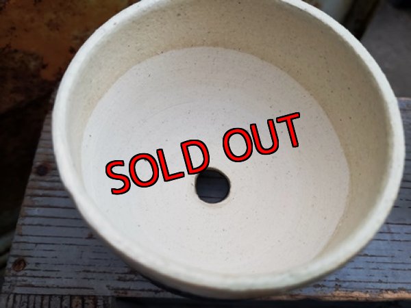 画像8: 幾何学シリーズ/蜜脚コロリン-3