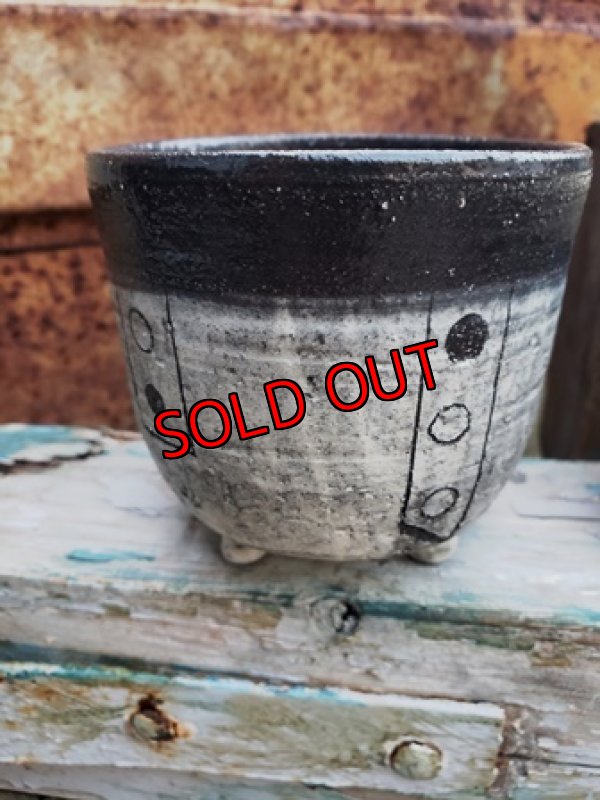 画像6: 幾何学シリーズ/蜜脚コロリン-4