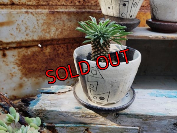 画像7: 幾何学シリーズ/皿付-1