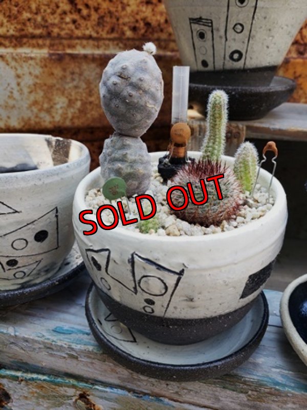 植物＆小物もプラスでこんな感じです＾＾