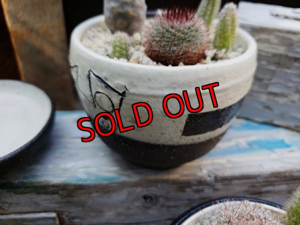 画像6: 幾何学シリーズ/皿付-2