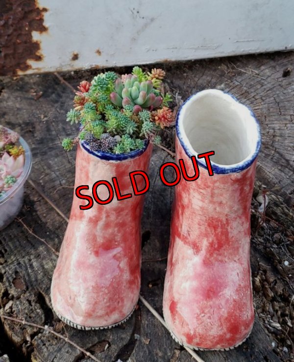 中の植物は付いていません。別の寄せ植えカップが付いています。