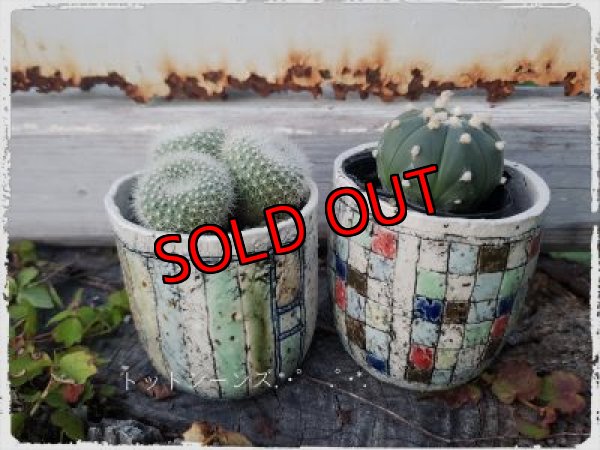 画像6: （再販）ノートの器〜色紙/二個セット