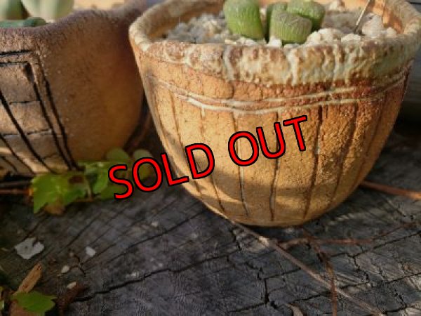 画像6: ノートの器〜藁半紙シリーズ/小サイズ三個セット