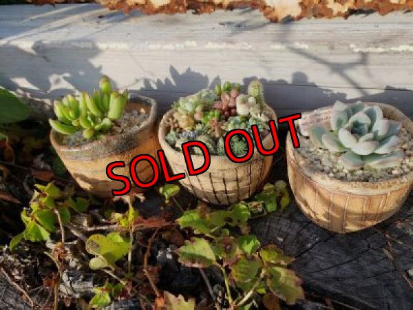 画像3: ノートの器〜藁半紙シリーズ/小サイズ三個セット