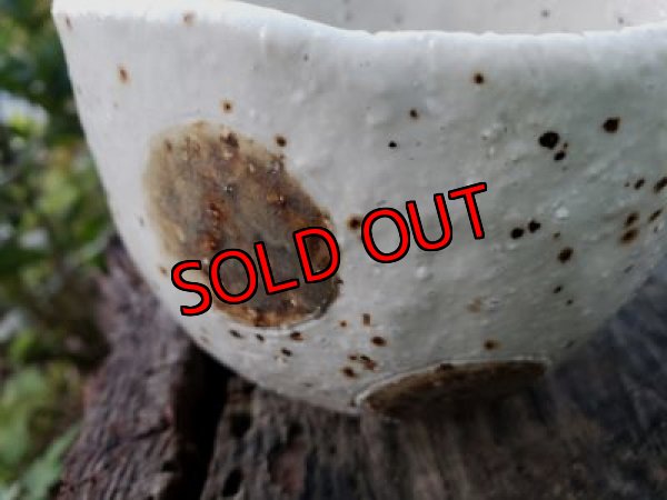 画像4: 栃尾さんの水玉鉢〜ドット-2/二個セット