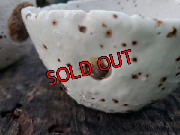 画像5: 栃尾さんの水玉鉢〜ドット-2/二個セット