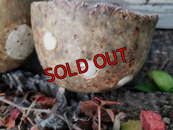 画像9: 栃尾さんの水玉鉢〜ドット/二個セット