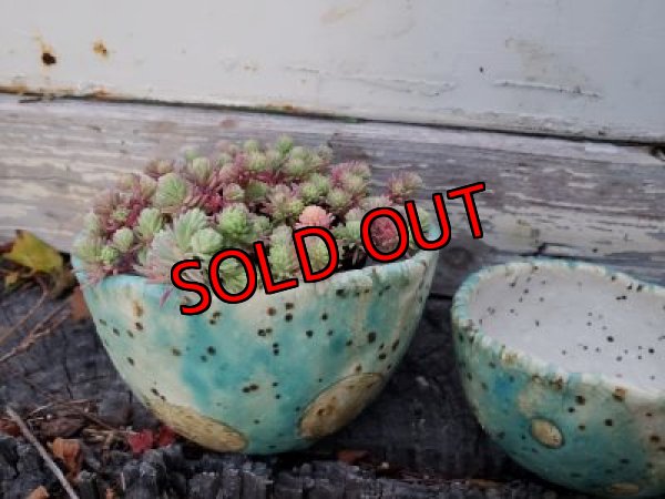 画像5: 栃尾さんの水玉鉢〜ドット/二個セット