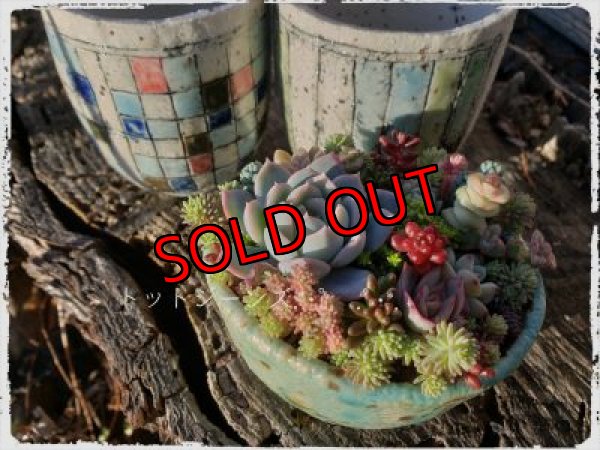 画像2: （再販）ノートの器〜色紙/二個セット