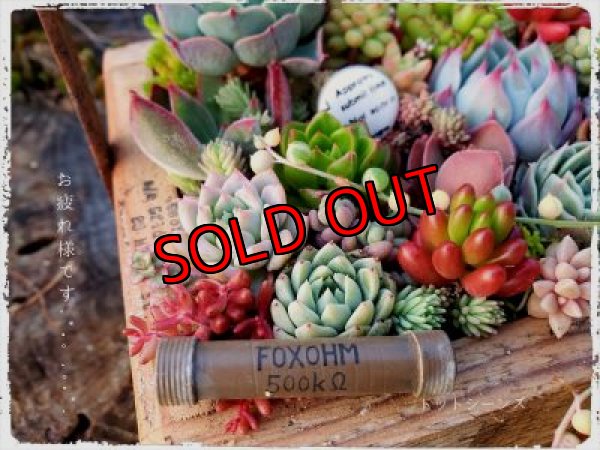 画像6: 贈り物木箱/中（正方形）〜工場のおじいさんシリーズ