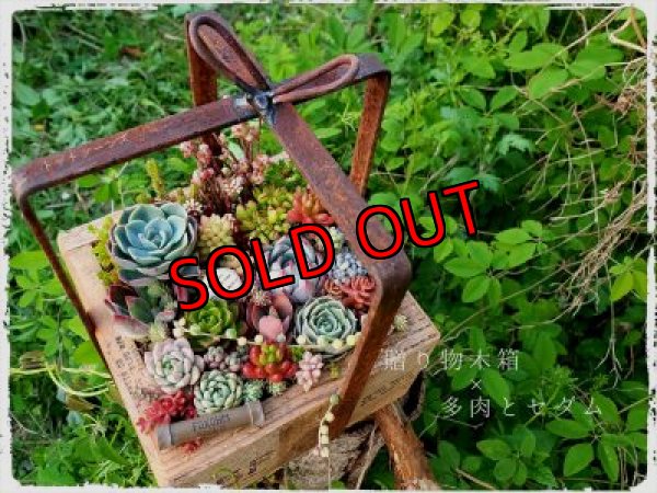 植物寄せるとこんな感じです。