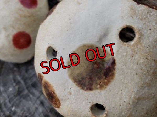 画像6: きのこ鉢〜栃尾さん&トットコラボ-A~水玉（20-5）