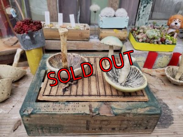 下の木箱はついていません。