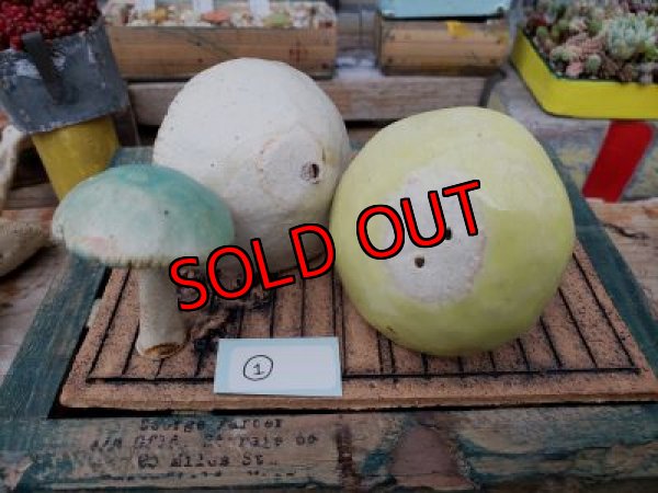 画像5: キノコ鉢×ノートのお皿+キノコオブジェ付き（20-5）