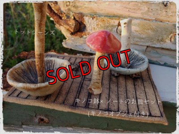 画像4: キノコ鉢×ノートのお皿+キノコオブジェ付き（20-5）