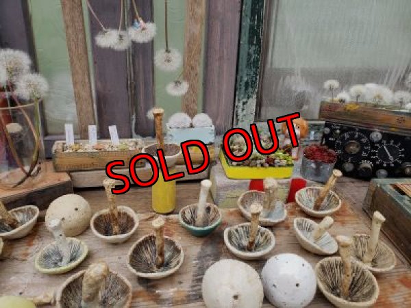 画像3: キノコ鉢×ノートのお皿+キノコオブジェ付き（20-5）