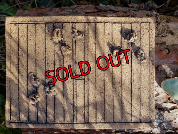 画像11: キノコ鉢×ノートのお皿+キノコオブジェ付き（20-5）