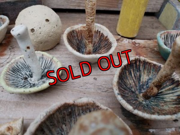 画像3: ミニキノコ鉢　2Ｐセット（20-7）