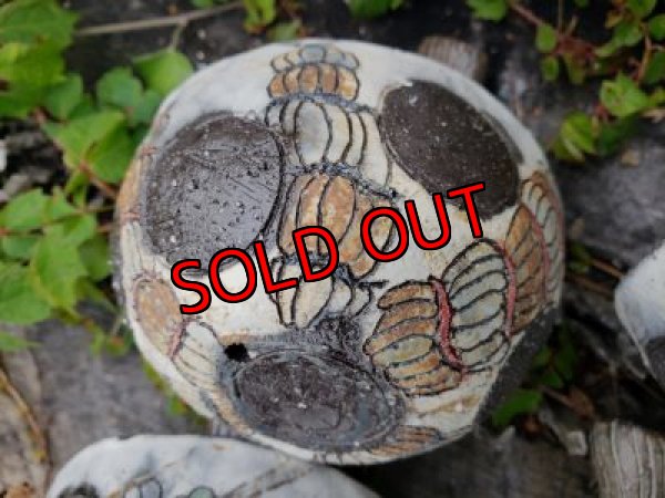 ｂｍ１/ツクツク