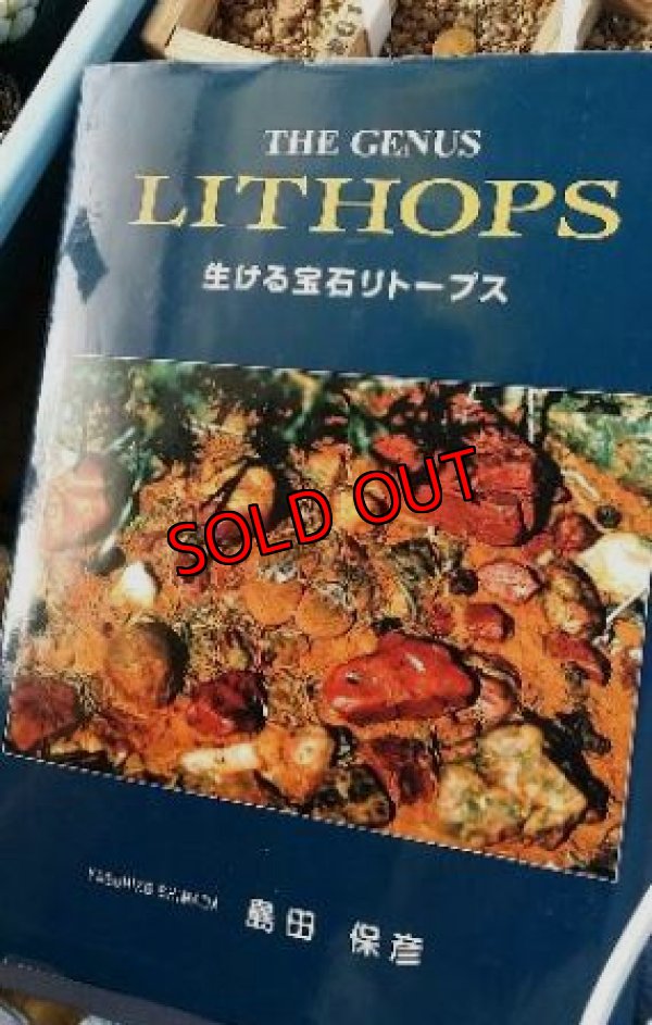画像1: THE LITHOPS 〜生ける宝石リトープス