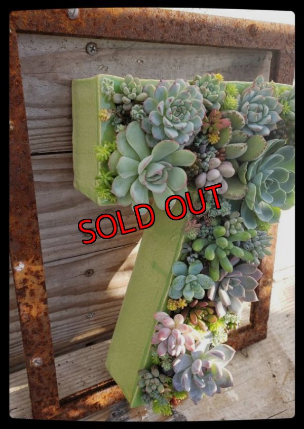 画像11: 【予約受付】2023年/栃尾さん＆トットコラボ　数字の器/ゴシック体