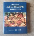 画像2: THE LITHOPS 〜生ける宝石リトープス