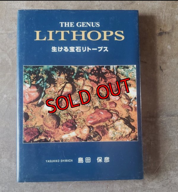 画像2: THE LITHOPS 〜生ける宝石リトープス