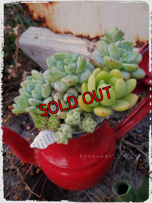 画像3: ホーローポット-G（21-1）