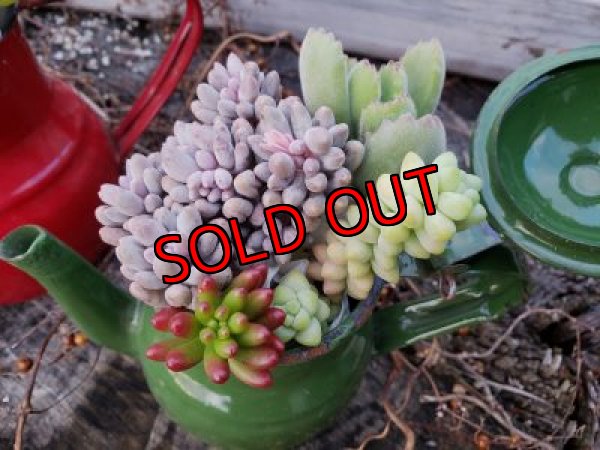 画像6: ホーローポット-G（21-1）