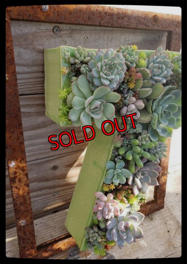 画像9: 栃尾さん＆トットコラボ　数字の器/2【ゴシック体/釉薬選べるVersion】