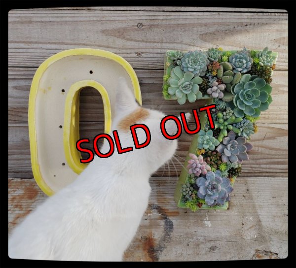 画像9: 栃尾さん＆トットコラボ　数字の器（22-11）