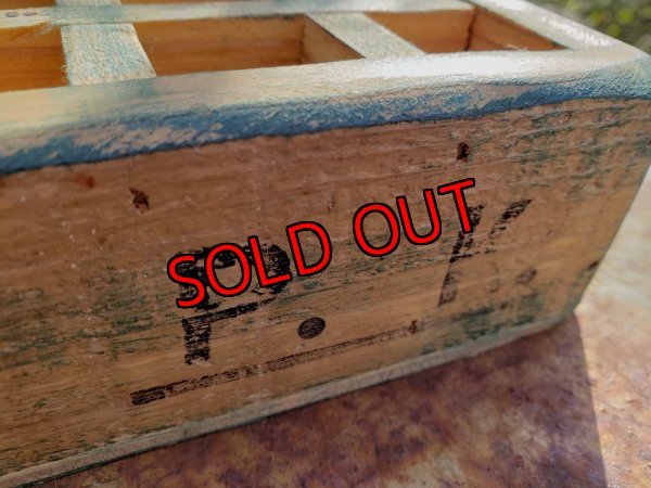 画像4: 採集して愛でる木箱の寄せ植えセットDー12マス（（22-4）