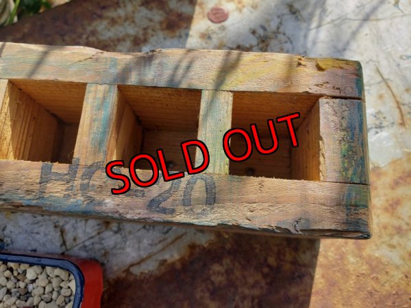 画像4: 採集して愛でる木箱の寄せ植えセットAー6マス（（22-4）