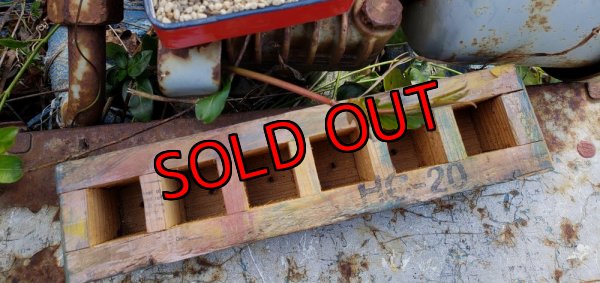 画像7: 採集して愛でる木箱の寄せ植えセットAー6マス（（22-4）