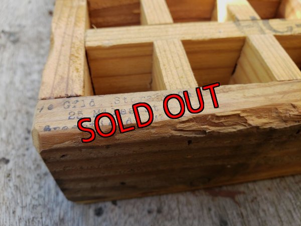 画像5: 採集して愛でる木箱の寄せ植えセットBー6マス（（22-4）