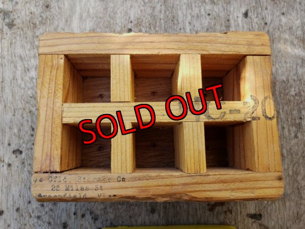 画像4: 採集して愛でる木箱の寄せ植えセットBー6マス（（22-4）