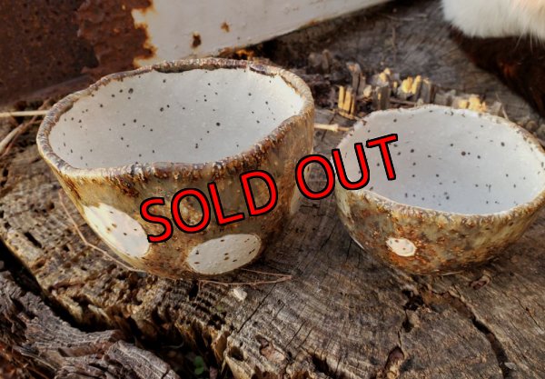 画像2: 栃尾さんの水玉鉢〜ドット-2/二個セット