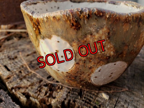 画像6: 栃尾さんの水玉鉢〜ドット-2/二個セット