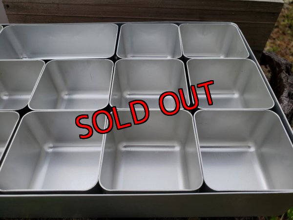 画像6: 限定☆小さな四角の器寄せ植えキット-コンプリート（22-7）