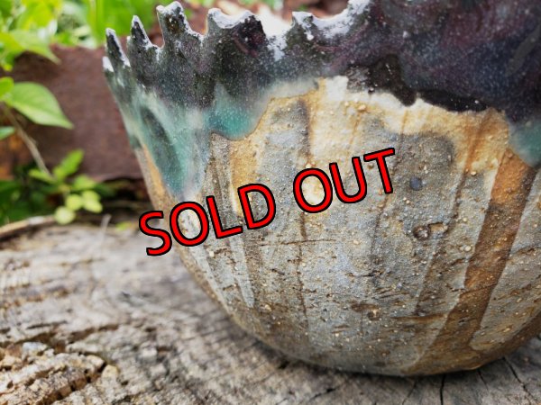 画像4: さざ波しら波鉢〜栃尾さん&トットコラボ（22-7）