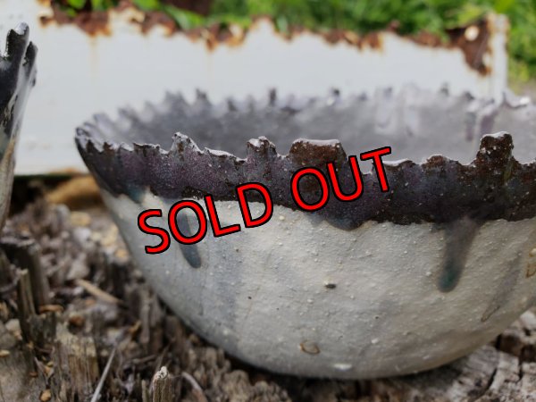 画像6: さざ波しら波鉢〜栃尾さん&トットコラボ（22-7）