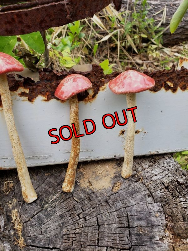 画像6: きのこオブジェ☆赤/ロングタイプ〜22-7