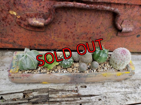 画像2: ミニサボセット〜宇宙シリーズ　6P（22-7）