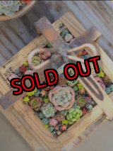 画像: 再再販/贈り物木箱－小（正方形）〜工場のおじいさんシリーズ