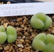 R5　9/25　撮影